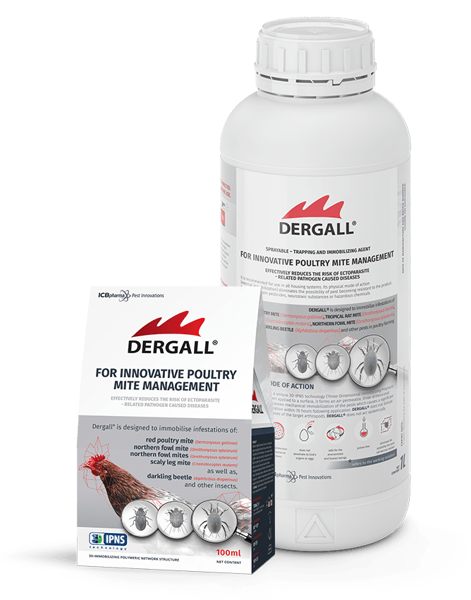 Dergall Visualisation