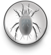 Red poultry mite icon